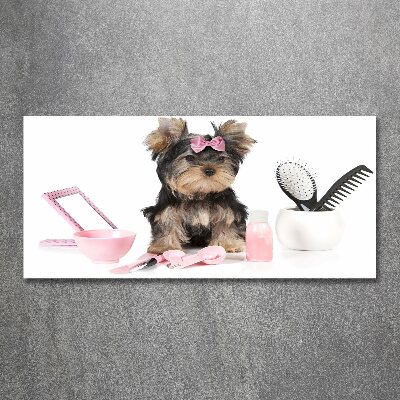 Acrylglas-Druck Yorkshire Kosmetik