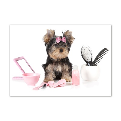 Acrylglas-Druck Yorkshire Kosmetik