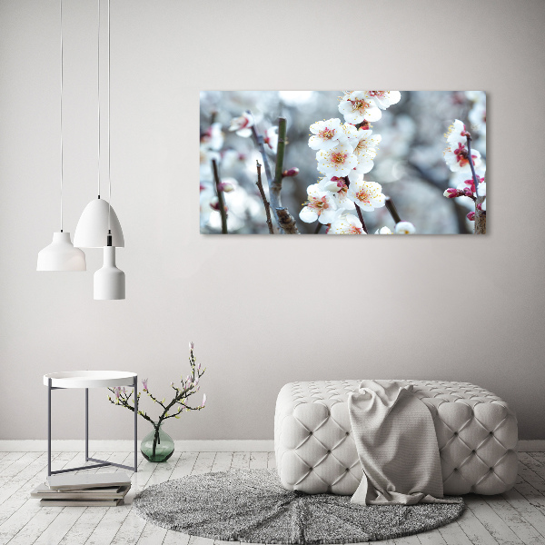 Acrylbild Fotodruck Kirschblüten