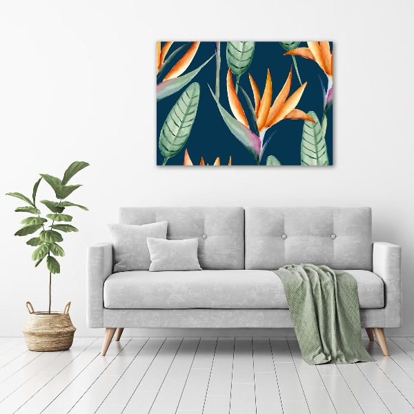 Foto auf Acryl Strelitzia reginae