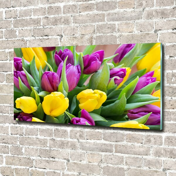 Bild auf Acrylglas Bunte Tulpen