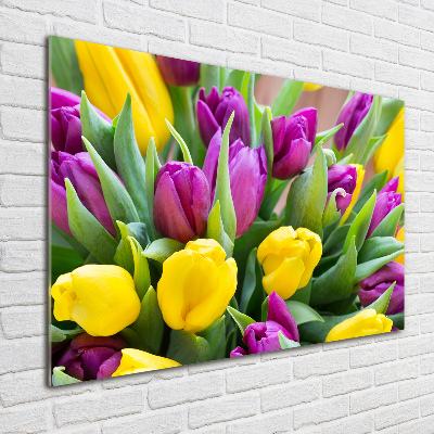 Bild auf Acrylglas Bunte Tulpen
