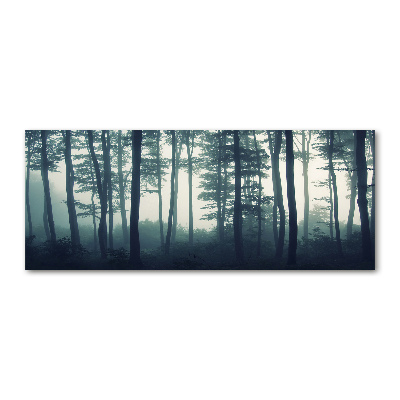 Acrylbild Fotodruck Wald im Nebel