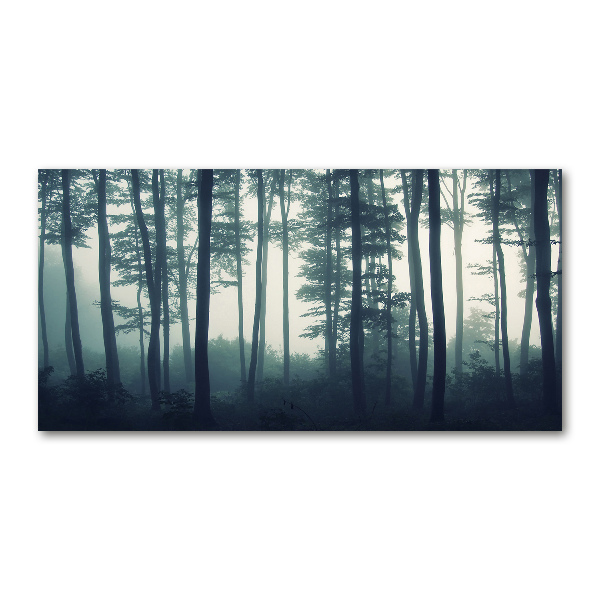 Acrylbild Fotodruck Wald im Nebel