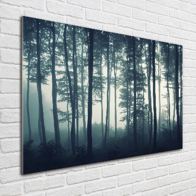 Acrylbild Fotodruck Wald im Nebel