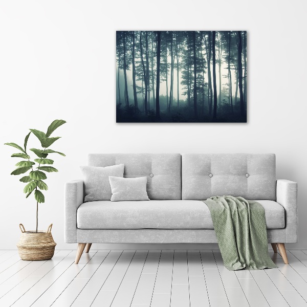 Acrylbild Fotodruck Wald im Nebel