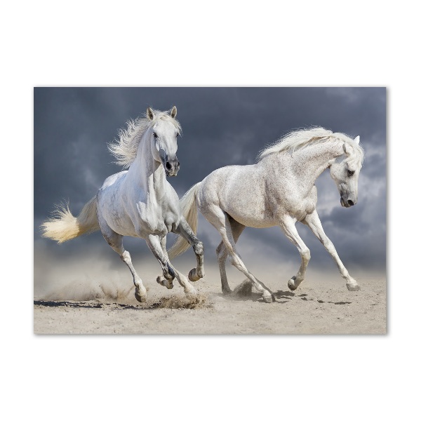 Foto auf Acryl Strand von White Horses
