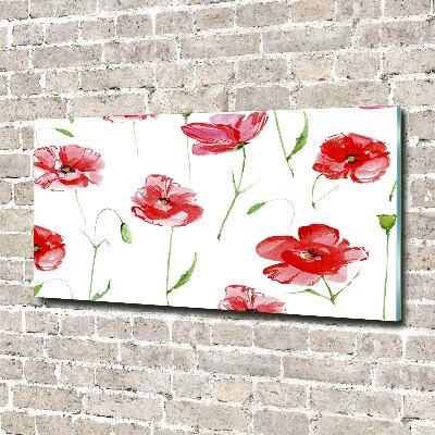 Foto auf Acryl Mohnblumen