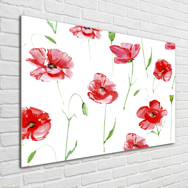 Foto auf Acryl Mohnblumen