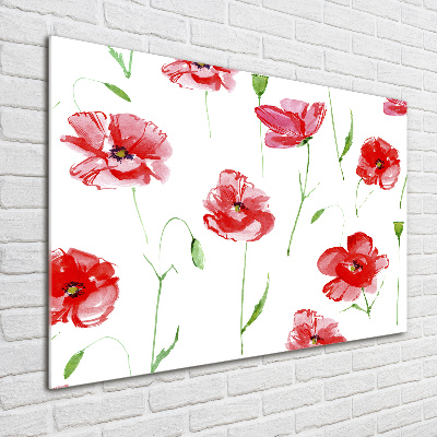 Foto auf Acryl Mohnblumen