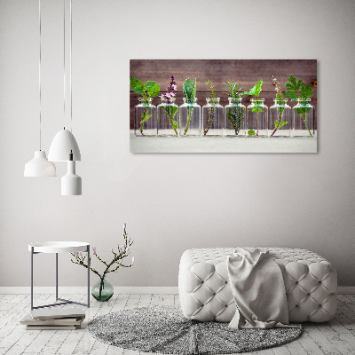 Acrylbild Fotodruck Pflanzen in Gläsern