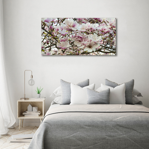 Acrylglas-Druck Magnolienblüten