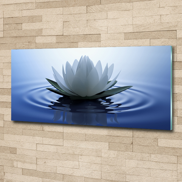 Acrylbild Fotodruck Seerose