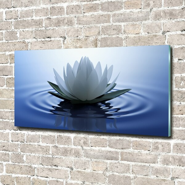 Acrylbild Fotodruck Seerose