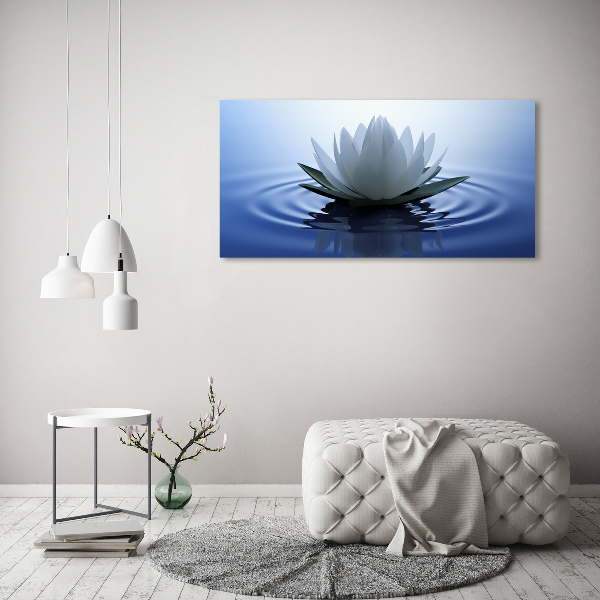 Acrylbild Fotodruck Seerose