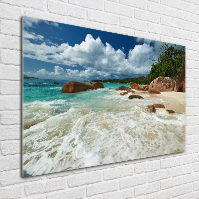 Bild auf Acrylglas Strand der Seychellen