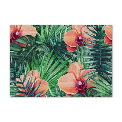 Bild auf Acrylglas Orchidee