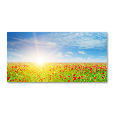 Acrylbild Fotodruck Mohnfeld