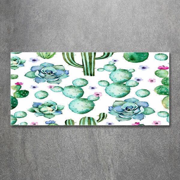 Foto auf Acryl Kakteen