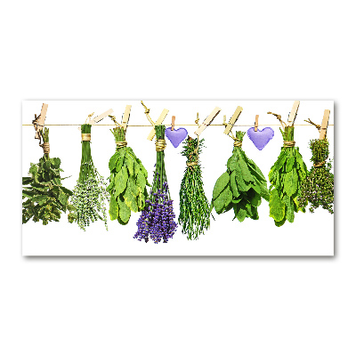 Foto auf Acryl Kräuter an einer Schnur