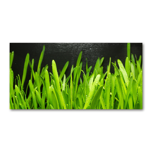 Acrylglas-Druck Gras