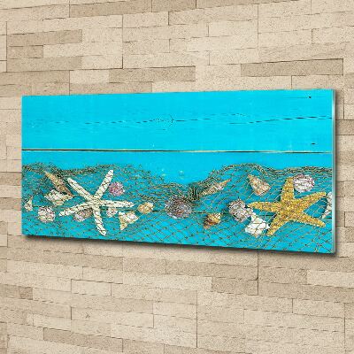 Foto auf Acryl Seesterne und Muscheln