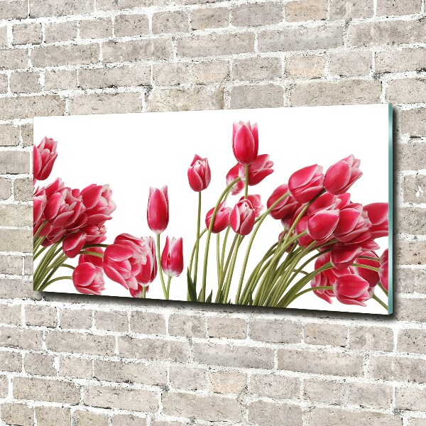 Acrylbild Fotodruck Rote Tulpen