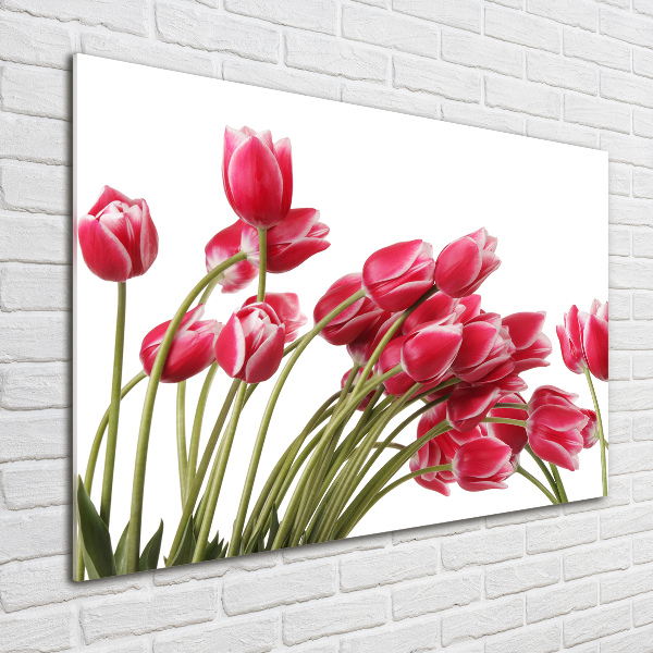 Acrylbild Fotodruck Rote Tulpen