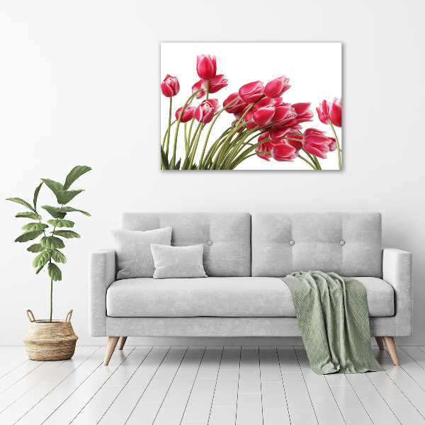 Acrylbild Fotodruck Rote Tulpen