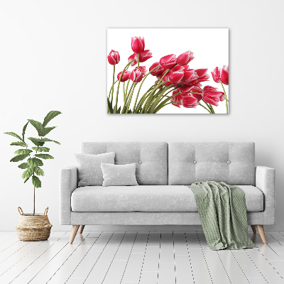 Acrylbild Fotodruck Rote Tulpen