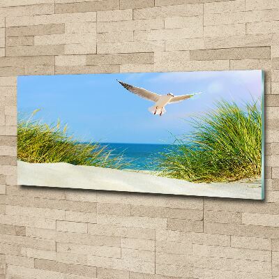 Foto auf Acryl Möwe am Strand