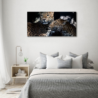 Foto auf Acryl Zwei Leoparden