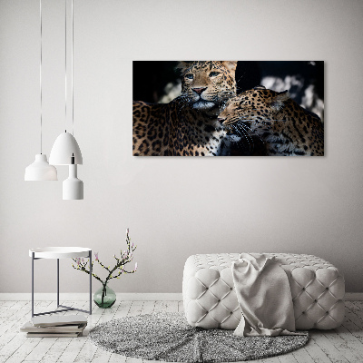 Foto auf Acryl Zwei Leoparden
