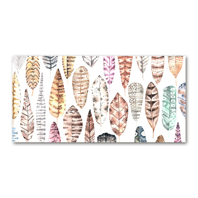 Acrylglas-Druck Bunte Federn