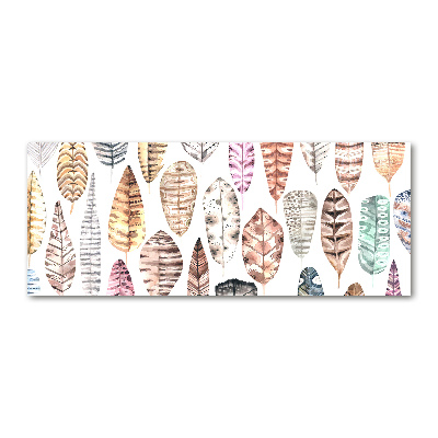 Acrylglas-Druck Bunte Federn