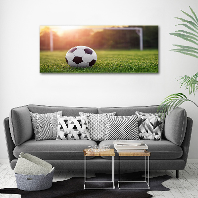 Acrylbild Fotodruck Fußball