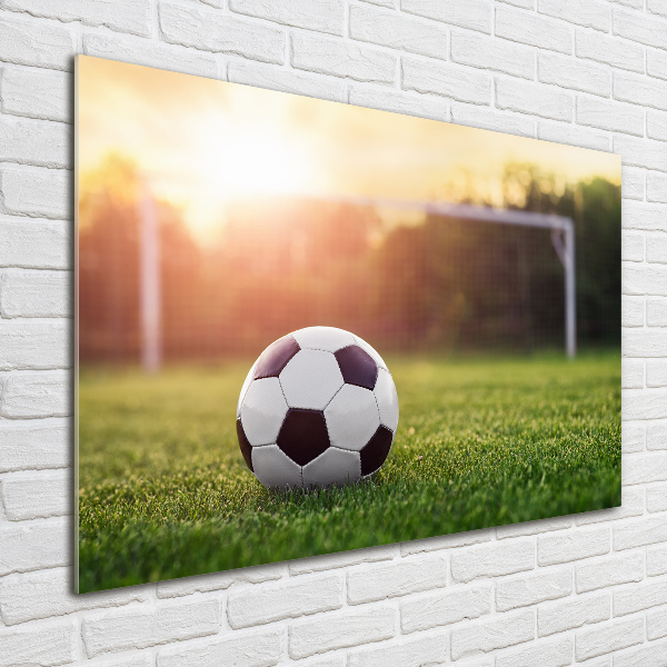 Acrylbild Fotodruck Fußball
