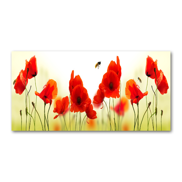 Acrylglas-Druck Mohnblumen