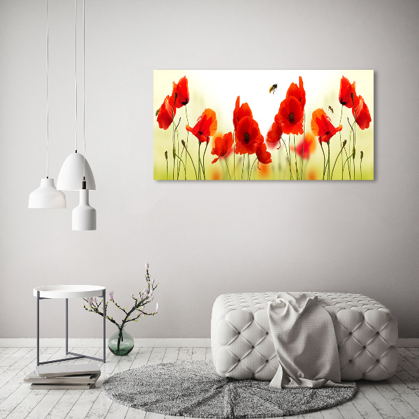 Acrylglas-Druck Mohnblumen