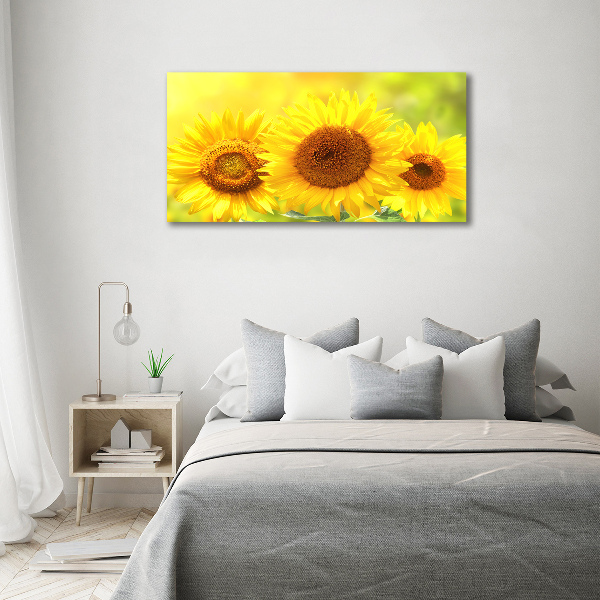 Foto auf Acryl Sonnenblumen