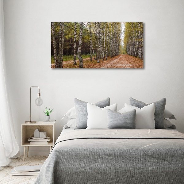 Acrylbild Fotodruck Birkenallee