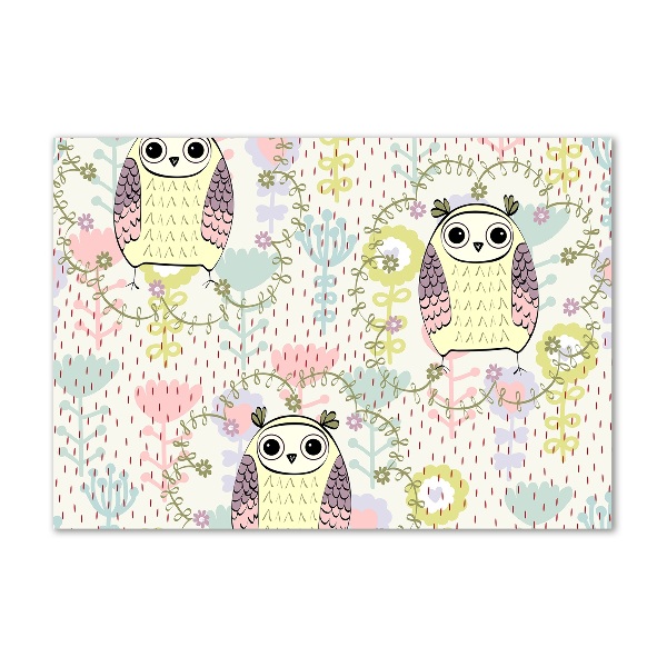 Foto auf Acryl Eulen