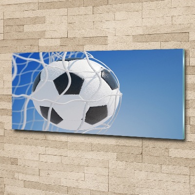 Foto auf Acryl Der Ball ist im Tor