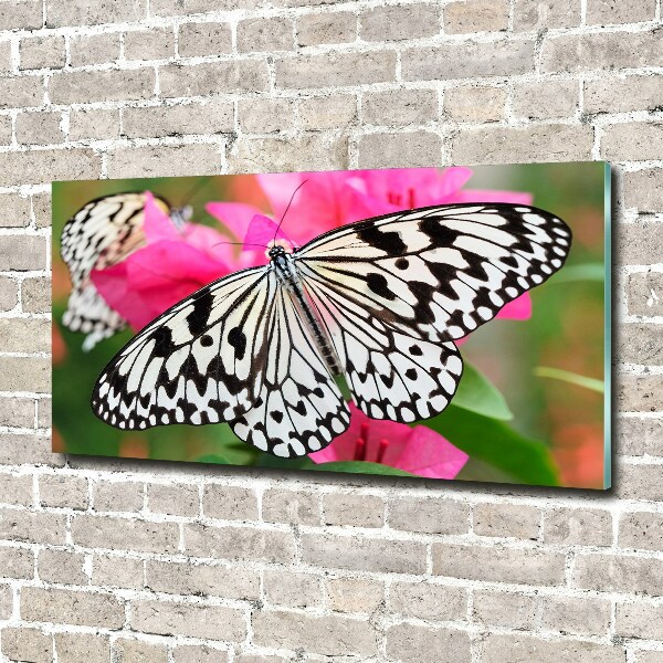 Acrylbild Fotodruck Schmetterling auf einer Blume