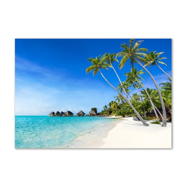 Acrylglas-Druck Malediven