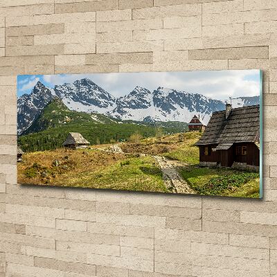 Foto auf Acryl Weiden im Tatra-Gebirge