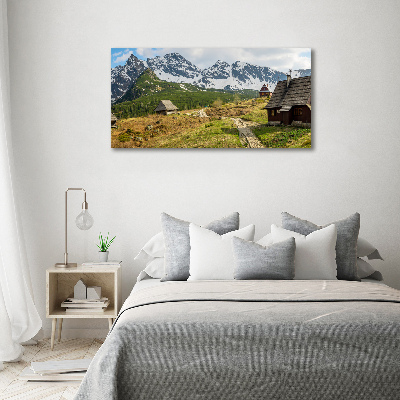 Foto auf Acryl Weiden im Tatra-Gebirge