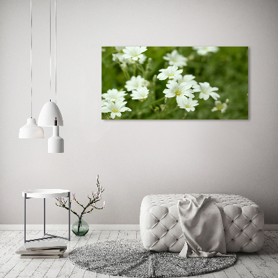 Bild auf Acrylglas Frühlingsblumen