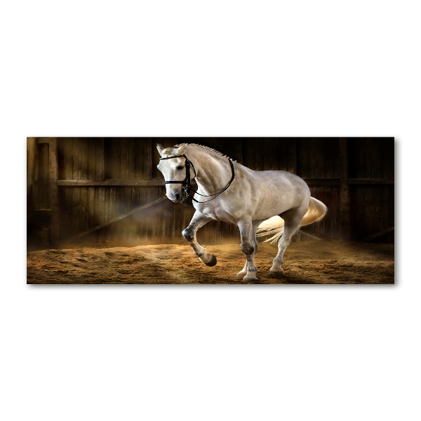 Foto auf Acryl Weißes Pferd im Stall