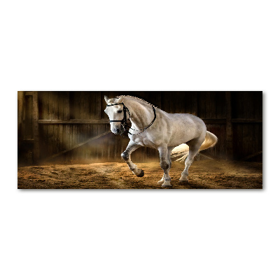 Foto auf Acryl Weißes Pferd im Stall